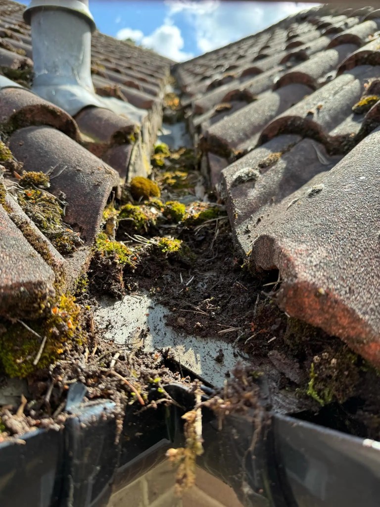 Diamond Gutters UK dirty roof with clogged gutters, showing the need for professional cleaning services